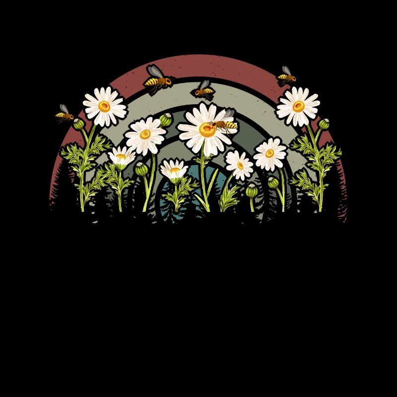 Marguerites Daisy Summer Daisies Jardin de fleurs