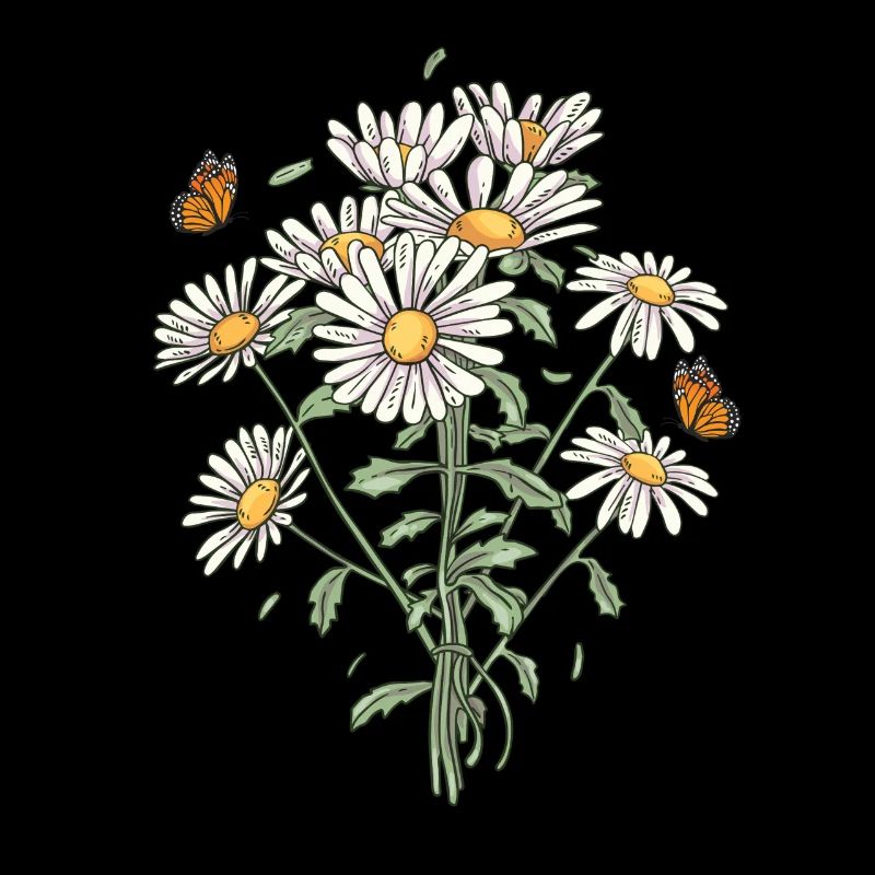 Marguerites Daisy Summer Daisies Jardin de fleurs