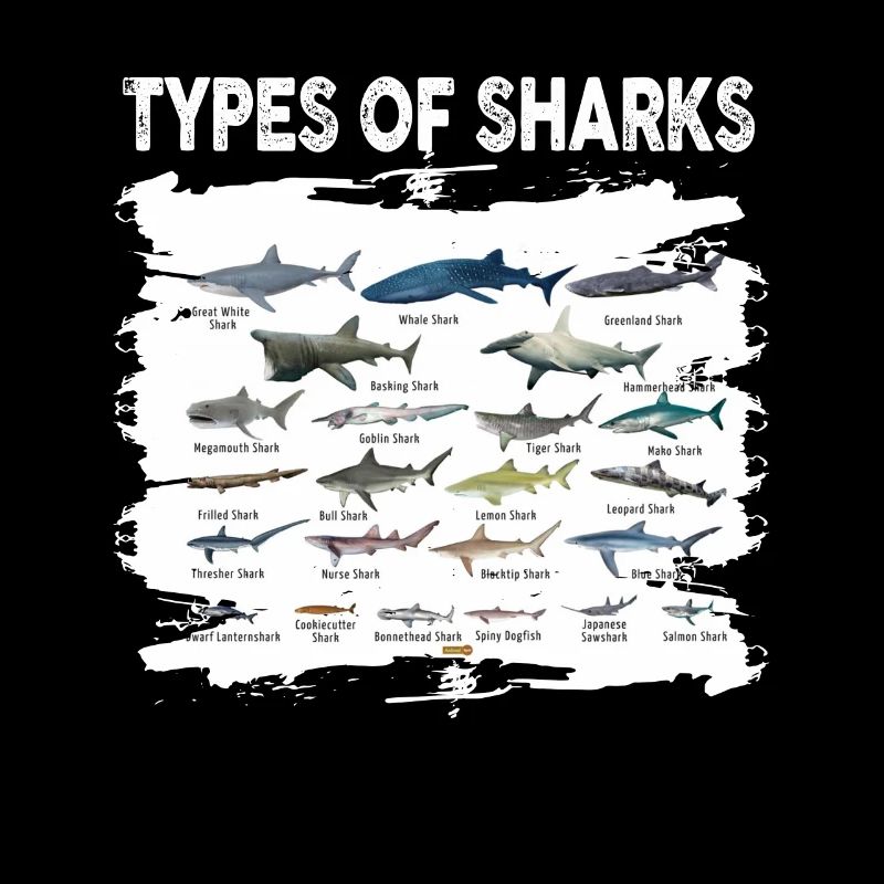 Types de requins