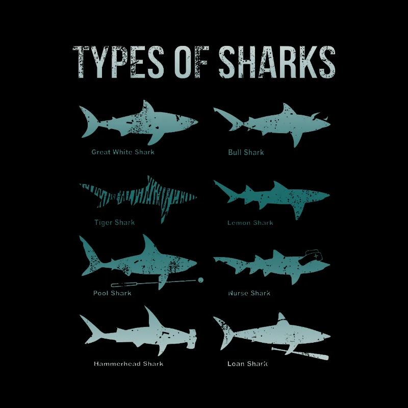 Types de requins