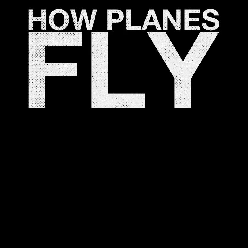 How Airplanes Fly Design for Pilots