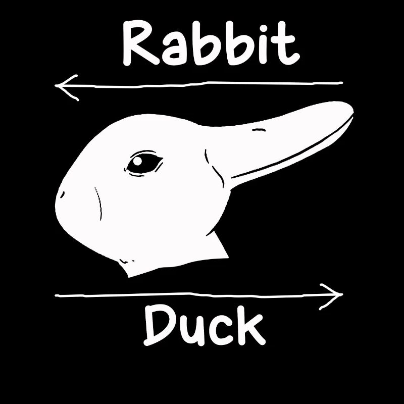 Wittgenstein lapin canard illusion