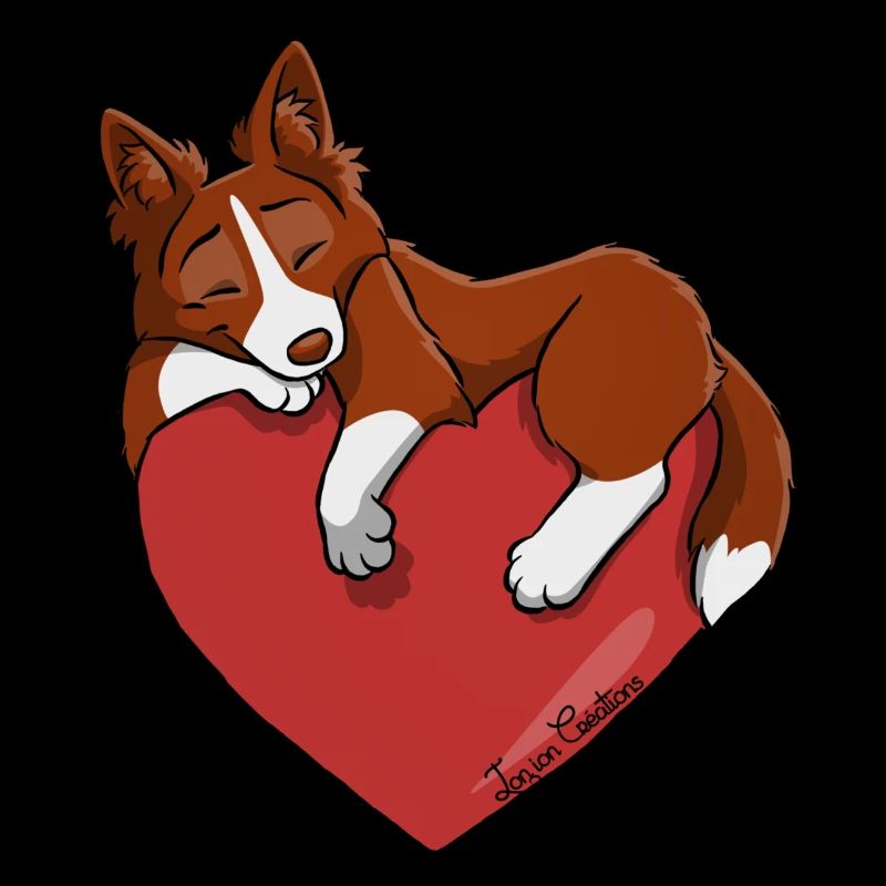 Border-Collie-Rot