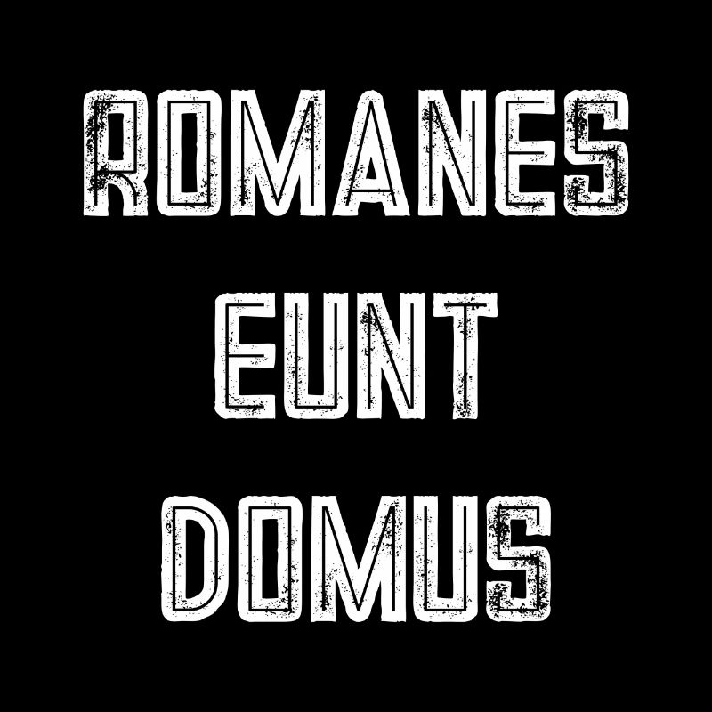romanes eunt domus