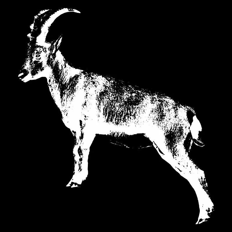 Capricorne