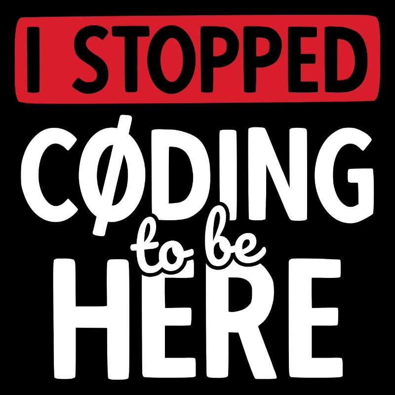 Software Ingenieur Informatiker Programmierer