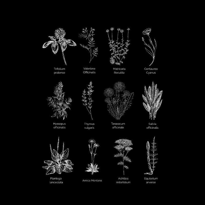 Wild herb magic - nature in its purest form