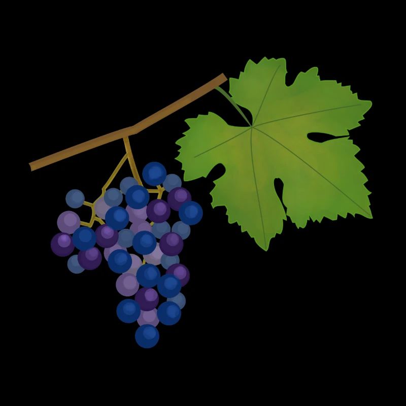 Grape, vine, autumn