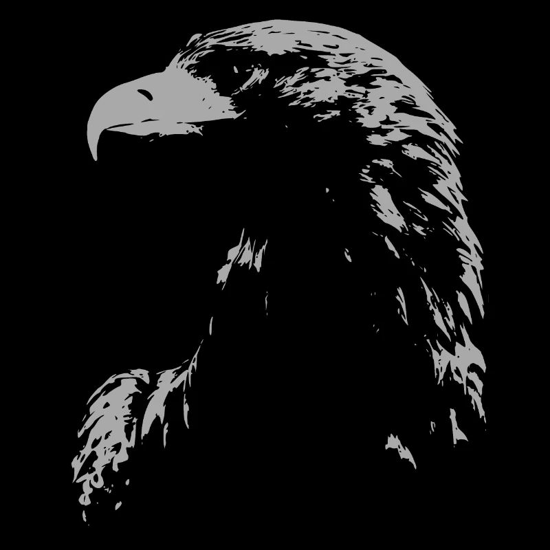 Aigle