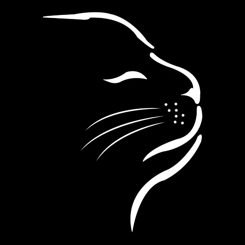 Katze Kleines Kätzchen Katzengesicht