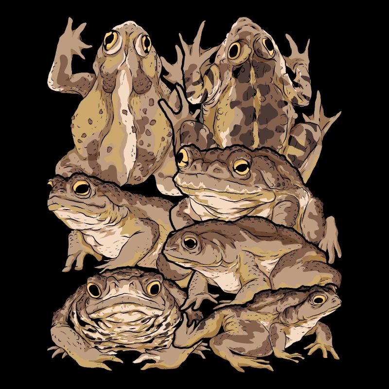 Amphibians Animals Frog Gift Nature Toad