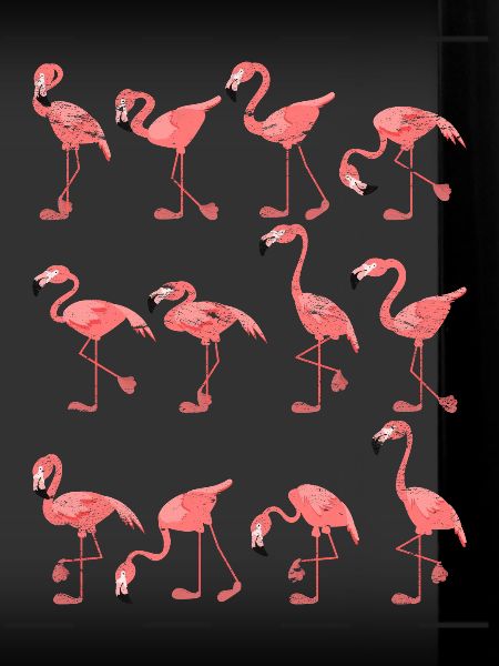 Flamant