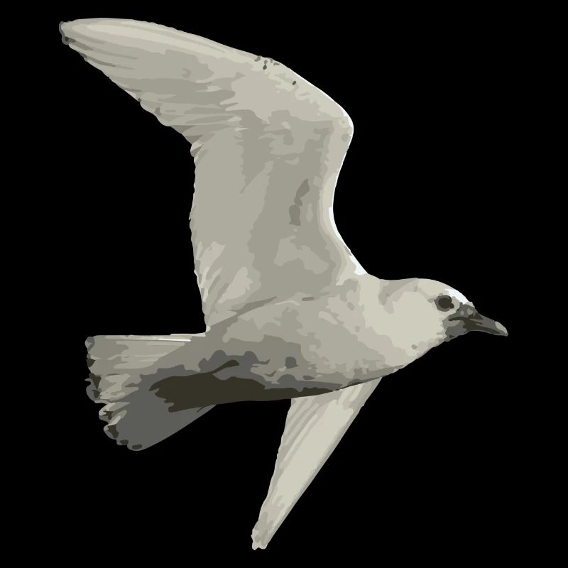 Oiseau
