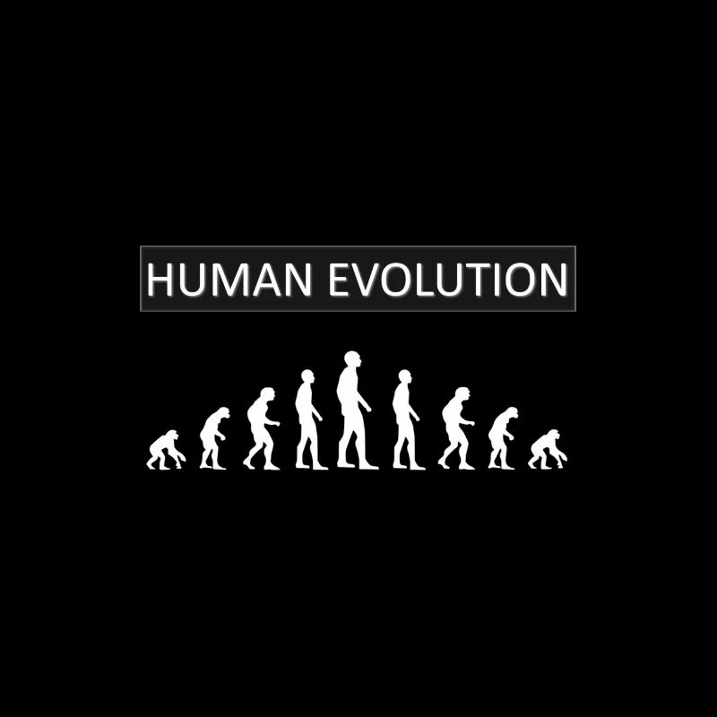 Human Evolution Funny