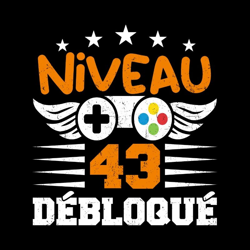 Niveau 43 débloqué - idée cadeau anniversaire