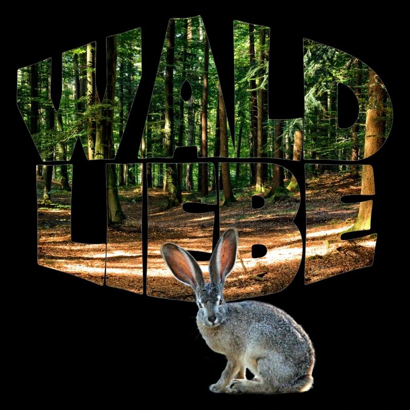 Forest 13 with Rabbit