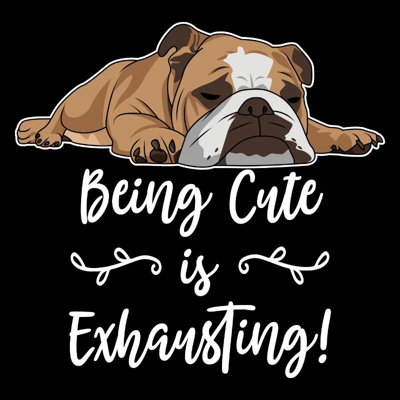 Bouledogue anglais être mignon est épuisant
