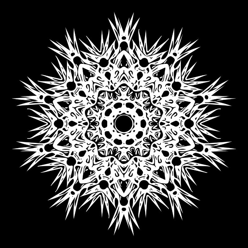 Geometric lines mandala shape