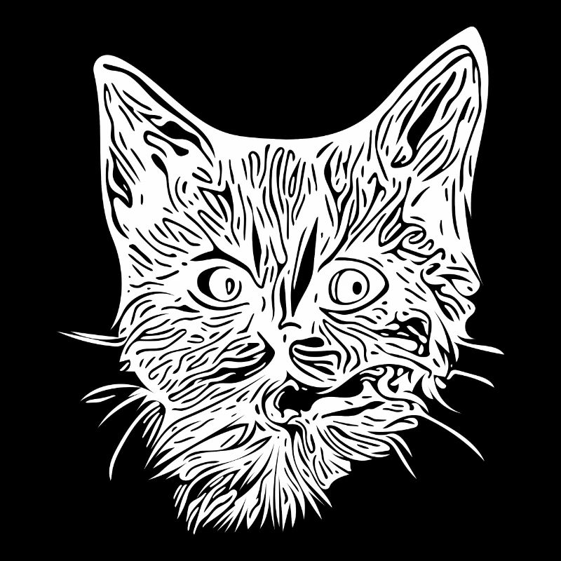 Chaton mignon et mignon