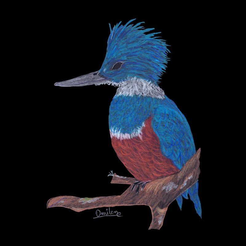 Ein charismatischer Eisvogel.