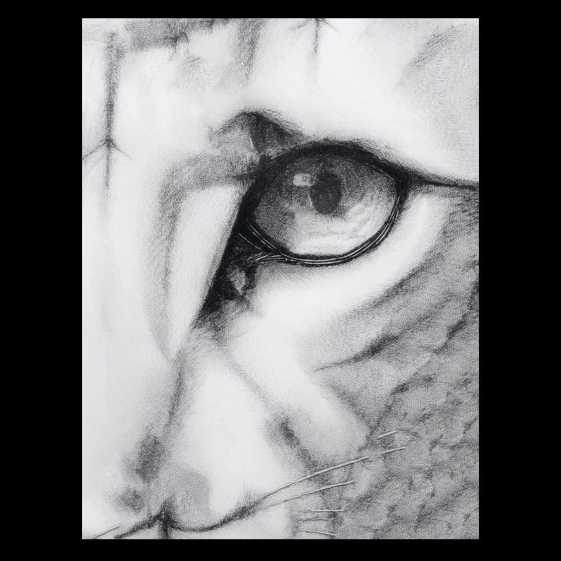 Feline