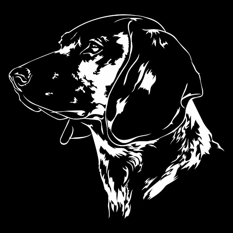 BAYERISCHER GEBIRGSSCHWEIßHUND Jagdhunde Wilsigns