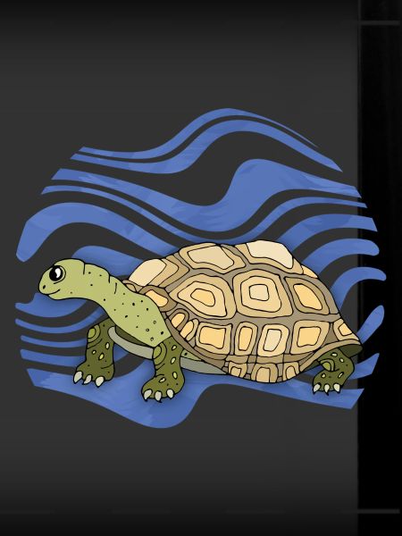 Tortue