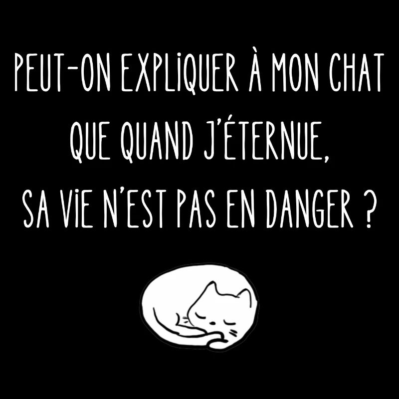 peut-on expliquer à mon chat