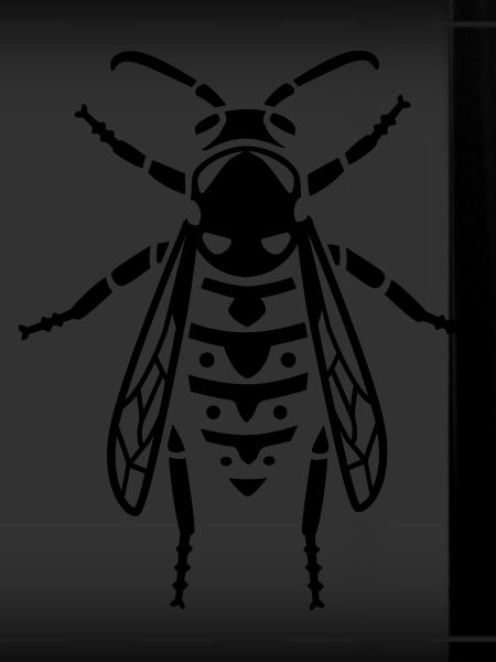 Insectes - Wasp