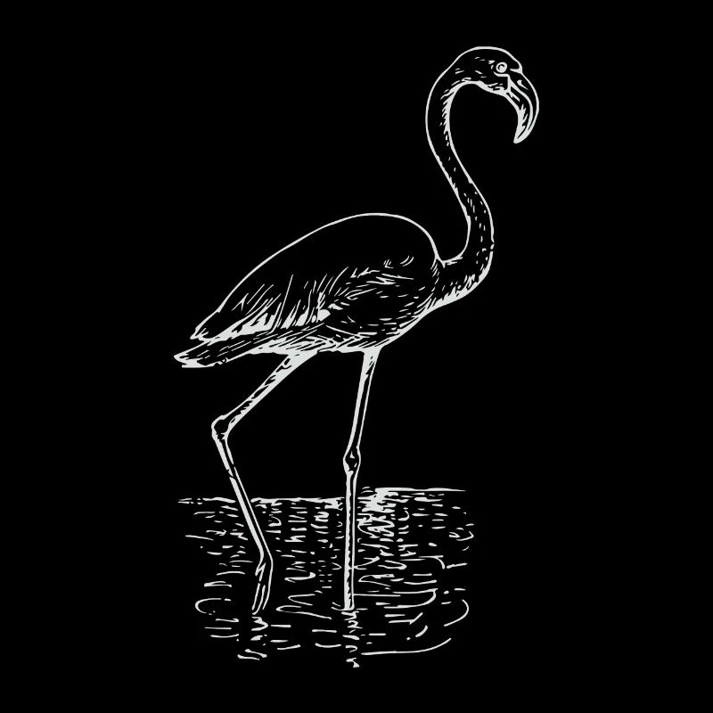 Flamingo dessin