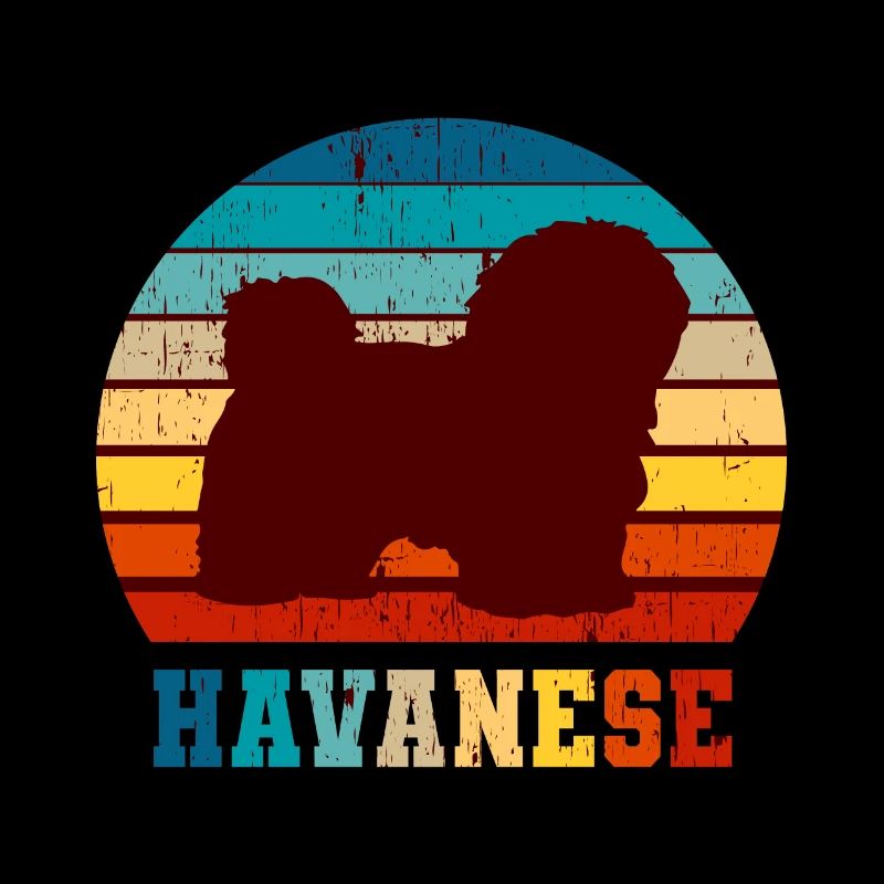 Havanese