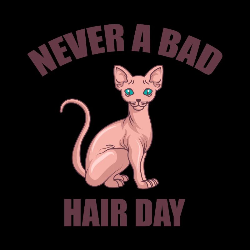 Chat Sphynx