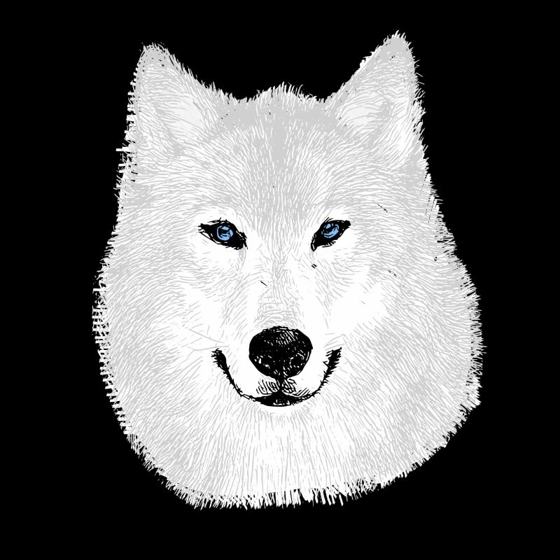 Loup des neiges