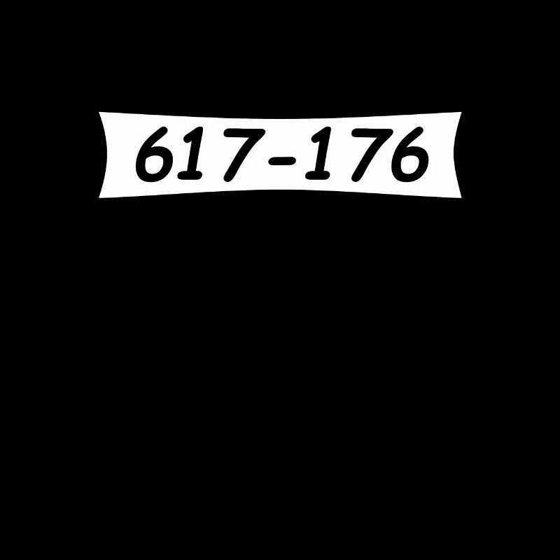 Panzerknacker Nummer 617 176