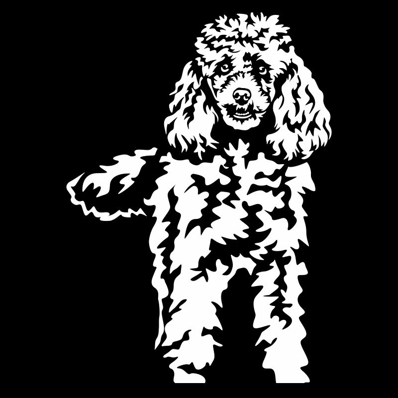 Caniche « Black Edition »