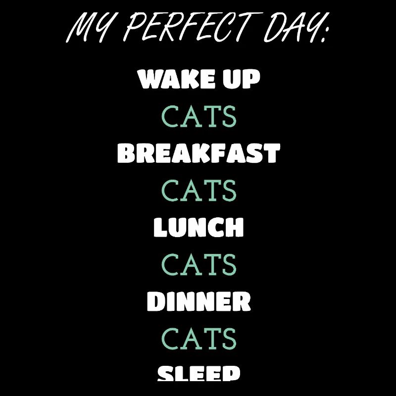 Whimsical Cat Daily Routine Design