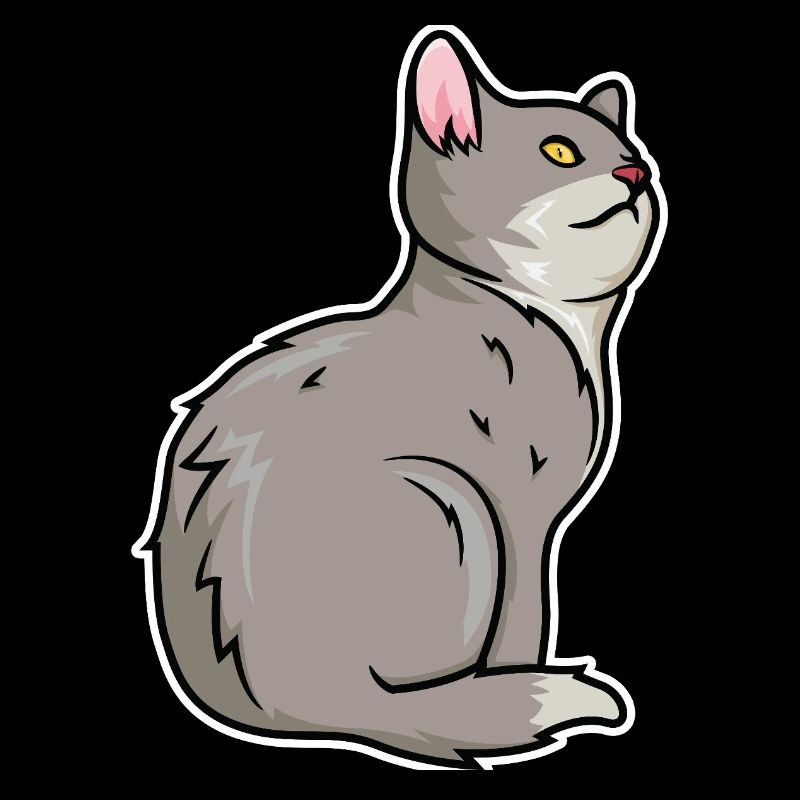 Cat Drawing