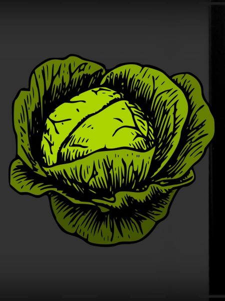 cabbage