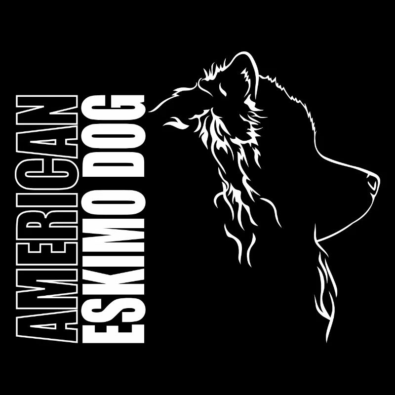 American Eskimo Dog Profil Hunde Wilsigns