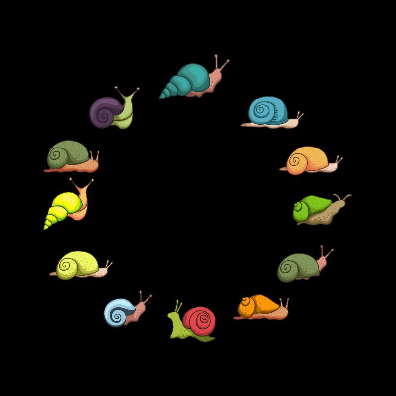 Snails snail shell snail garden