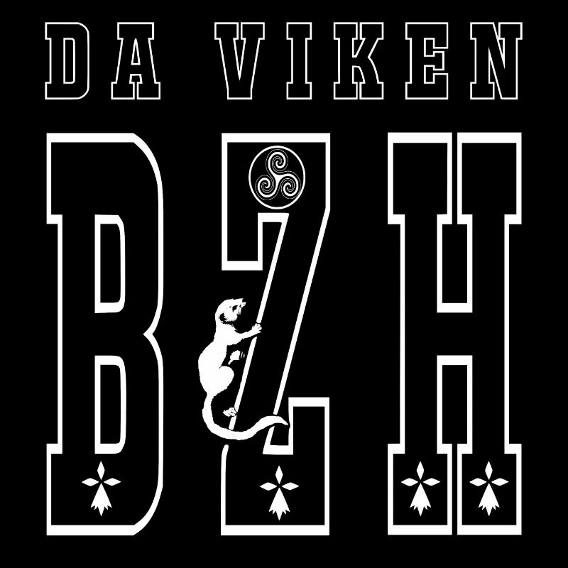 da viken BZH
