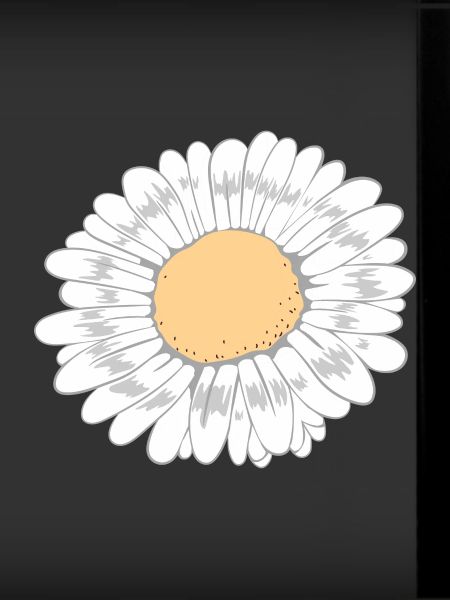 Fleur blanche