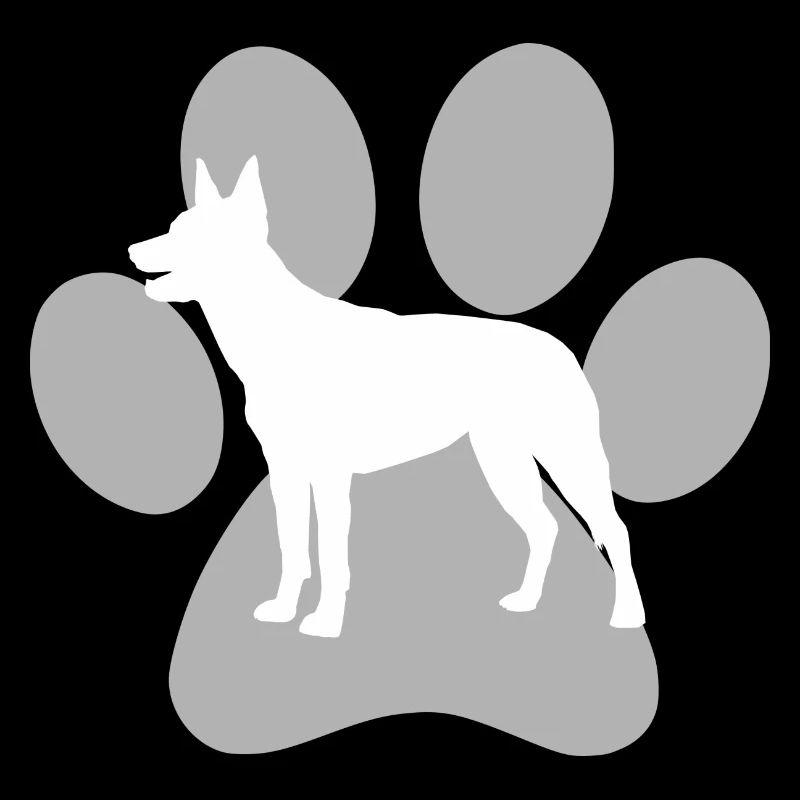 Australian Kelpie