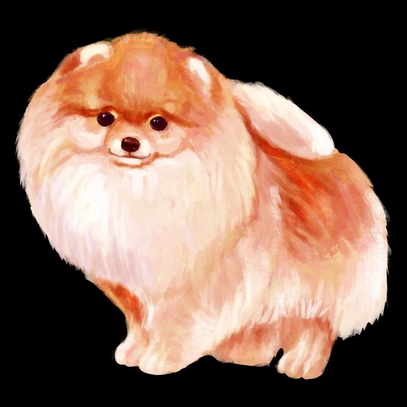 Pomeranian