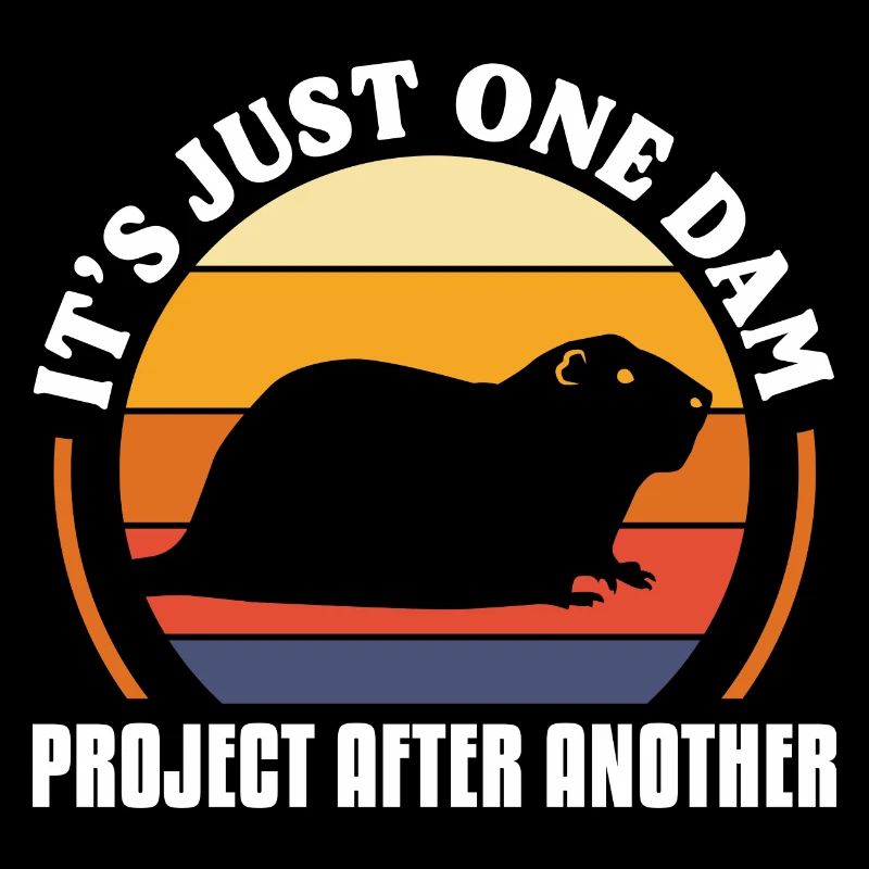 Its just one dam project after another