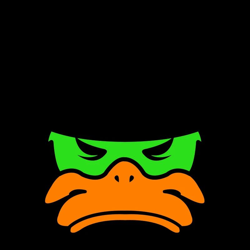 Canard du Mexique 02