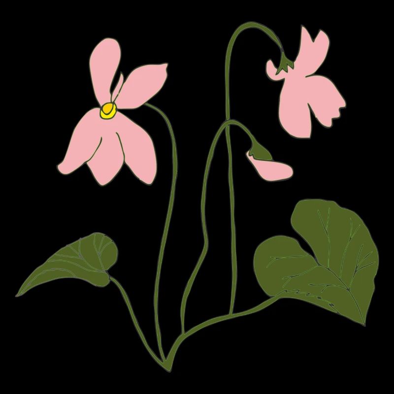 veilchen rosa