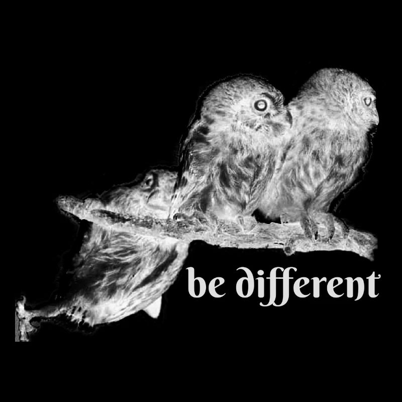 Eule,be different, Eulen, Äste, tollpatschig