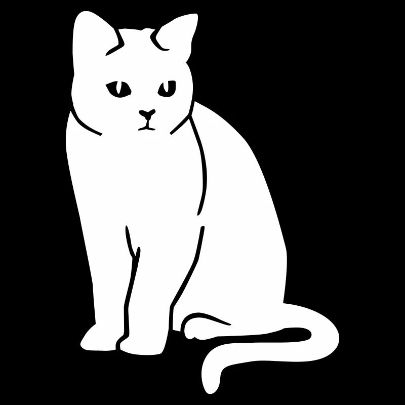 Britisch Kurzhaar Katze