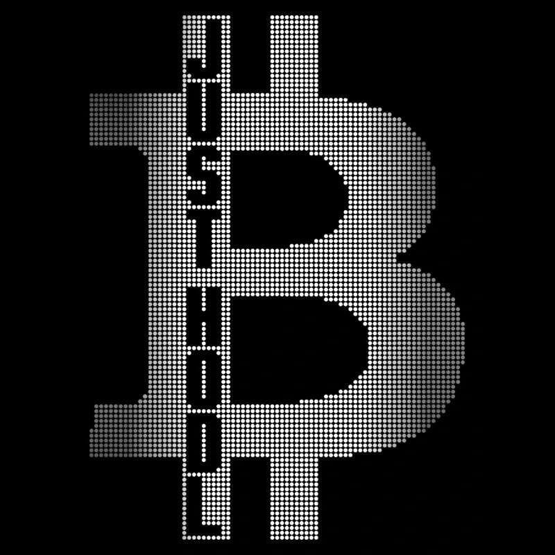 BITCOIN Pixel LOGO JUST HODL IT BITCOIN TRUST